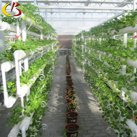 Usine directement en gros jardin Vertical culture hydroponique légumes système de culture Kit serre