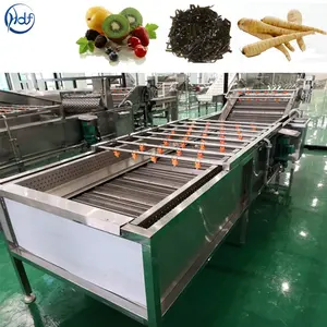 Mesin cuci sayuran listrik mesin cuci buah mesin cuci industri