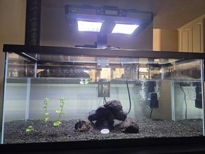 Lampe LED d'<span class=keywords><strong>aquarium</strong></span> efficace 120W à spectre complet, construction en aluminium, avec minuterie et contrôle de la luminosité, pour aquariums d'<span class=keywords><strong>eau</strong></span> <span class=keywords><strong>douce</strong></span> plantés et poissons - Product Image 2