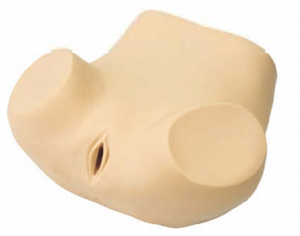 Modelo de Entrenamiento Ginecológico de PVC Avanzado <span class=keywords><strong>y</strong></span> Duradero para Educación Médica <span class=keywords><strong>y</strong></span> Enseñanza de <span class=keywords><strong>Obstetricia</strong></span> para Estudiantes de Medicina <span class=keywords><strong>y</strong></span> Profesores - Product Image 2