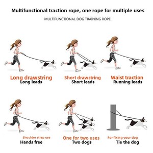 En gros, laisse de traction <span class=keywords><strong>pour</strong></span> <span class=keywords><strong>chien</strong></span> non rétractable en corde tressée du Guangdong, <span class=keywords><strong>pour</strong></span> la course, <span class=keywords><strong>pour</strong></span> chiens de taille moyenne et grande - Product Image 4