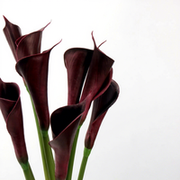 Bunga Calla Lily Putih Buatan PU Berkualitas Tinggi dengan Sentuhan Realistis untuk Dekorasi Meja Tengah, Pesta Pernikahan, dan Rumah