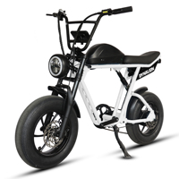 Vélo électrique rétro, vélo hybride électrique, vélo électrique de route, vélo électrique à pneus larges, vélo électrique de montagne, vélo électrique tout-terrain, vélo pour adultes