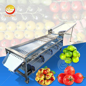 Machine de tri des fruits et légumes ORME, machine de tri des fruits orange, des myrtilles et des pommes de terre, machine de tri des micro-fruits et légumes - Product Image 1