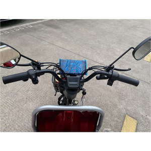 2025 48V/60V Triciclo eléctrico para adultos Trimotos abiertos de tres ruedas con tipo de cuerpo cómodo - Product Image 4