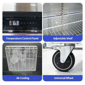 Refrigerador Vertical Comercial para Cocina, Enfriador de Aire para Cocina, Congelador Vertical de Acero Inoxidable para Panadería - Product Image 3
