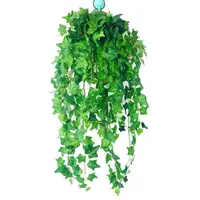 Green Ivy Hanging Vines