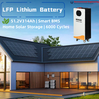 Batterie LiFePO4 Bohan 51.2V 314Ah 15kWh sur roulettes pour stockage d'énergie solaire domestique, >6000 cycles, garantie 5 ans, 120kg, à poser au sol