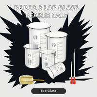Ensemble de béchers en verre borosilicate 50ml 100ml 250ml 500ml 1000ml, pipettes, brosses de nettoyage, utilisation en laboratoire, transparent, marque MAYALAB