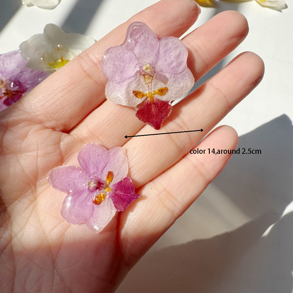 couleur 14, petite taille
