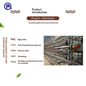 Gabbia Incubatrice per <span class=keywords><strong>Pulcini</strong></span> di 1 Giorno, Progettata per Allevamenti Avicoli - Product Image 4