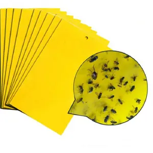 Gelbe Insekten leim falle, klebrige Papier falle zur Bekämpfung von fliegenden Pflanzen insekten im Garten