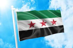 Banderas Nacionales Personalizadas - Pancartas Personalizadas con Soporte Retráctil, Rollo de Pancarta Flexible de PVC - Product Image 4