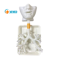 Simulateur de formation en bronchoscopie - Modèle d'arbre bronchique humain pour la formation médicale respiratoire