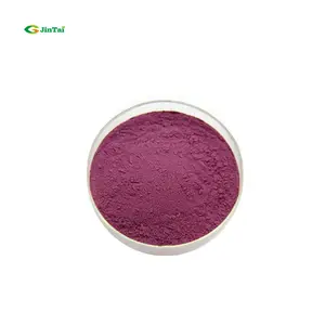 Common Plum European Plum Fruit Powder Prunus Domestica Extract Dried Prunes Powder