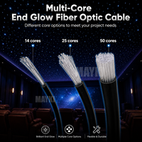 Cable de Fibra Óptica Multifilar con Iluminación de Extremos para Techo de Estrellas, 25 Hilos, Iluminación de Fibra Óptica para Piscina
