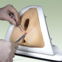 Modelo de entrenamiento de Perinealis y perineorrhyphy, simulador de Episiotomy