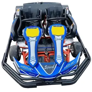 Hot Sale Amusement Rides Engine 200Cc 6.5Hp Gas Powered 2 Seat Petrol Racing Go Kart