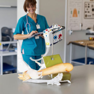 รูปแบบ<span class=keywords><strong>การ</strong></span>ฝึกดูแลเด็กแบบเจาะเส้นเลือดขอดที่แขนของเด็กอายุ<span class=keywords><strong>4</strong></span>ขวบ - Product Image 6