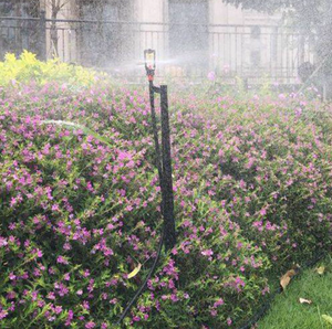 WFC <strong>Micro</strong> Female Butterfly PVC <strong>Sprinkler</strong> for Agricultural <strong>Irrigation</strong> System - Product Image 4