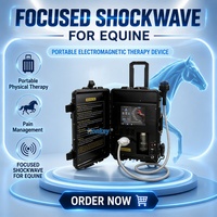 Appareil de thérapie par ondes de choc pour écuries de chevaux – Soin et récupération – Clinique vétérinaire – Réadaptation – Machine à ondes de choc ciblées