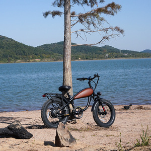 Vélo Électrique Rétro 2026 le Plus Vendu pour Adultes, Mini Vélo Électrique pour Enfants, Vélos Électriques à Pneus Larges de 20 Pouces avec Freins à Disque Hydrauliques - Product Image 2