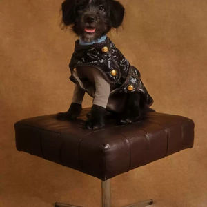 เสื้อโค้ทสำหรับสัตว์เลี้ยงน้ำหนักเบาและอบอุ่นเสื้อกั๊กสำหรับฤดูใบไม้ร่วงของสุนัขผ้าแฟชั่นสำหรับสัตว์เลี้ยงอากาศเย็น - Product Image 2