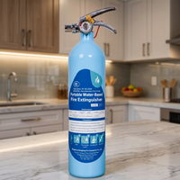 Extincteur portable à base d'eau de 950 ml, non toxique, facile à utiliser pour la maison, la voiture, le bureau, le camping, la protection contre les incendies d'urgence