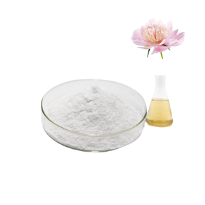 ODM/OEM nhà máy cung cấp 100% hữu cơ tự nhiên Radix paeoniae Alba chiết xuất hoa mẫu đơn trắng chiết xuất từ rễ paeoniflorin bột 98% - Product Image 1