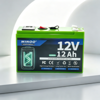 Batterie LiFePO4 12V 24V avec BMS intégré, cycle profond, 153,6 Wh, 6000 cycles, pour solaire, camping-car, marine, hors réseau, onduleur