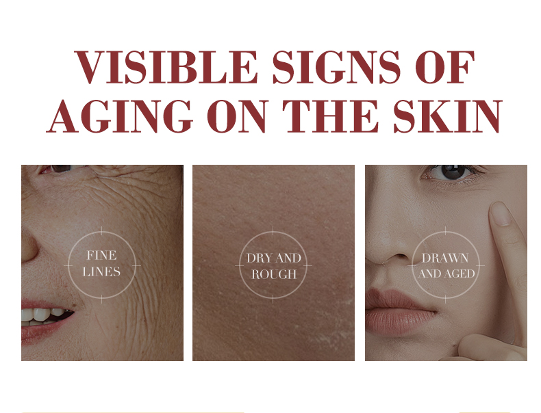 xigemei skin care products
