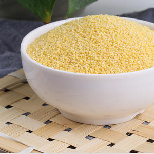 来自东北地区的有机金小米，进口健康谷物 - Product Image 1