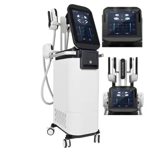 Professionele Fabriek Prijs Fysiotherapie Spierstimulator Ems Elektronische Spier Stimuleren Machine
