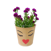 Fournitures de jardin, pots à fleurs ronds galvanisés décoratifs, ensemble de pots à fleurs en métal personnalisés, pots à plantes, pots à bonsaï, pots à herbes aromatiques