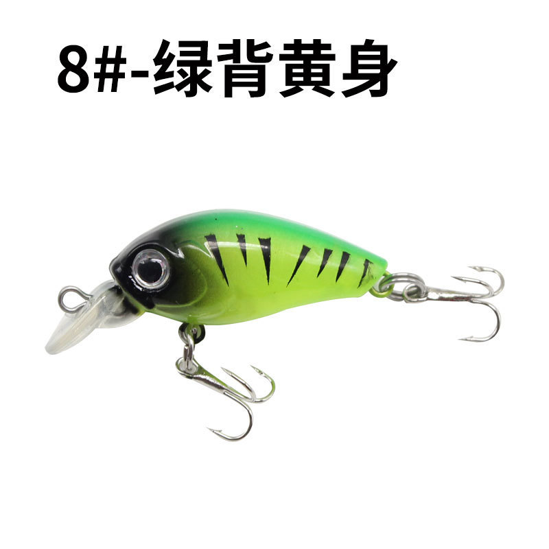 8 verde dorso giallo corpo