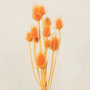 Flores Secas Eternas ZanTe, Dipsacus Sativus, Eryngium Sea Holly, 15 Cabezas, Flor de Cardo Grande, Día de la Madre - Product Image 4