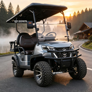 Voiturette de golf électrique personnalisable avec décoration sur mesure pour les communautés résidentielles de villages de vacances de luxe - Product Image 1