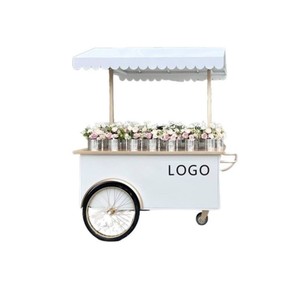 Carrito de Helados Eléctrico de Alta Calidad, Triciclo para Helados - Product Image 5