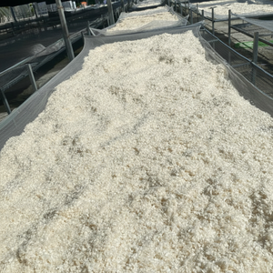 PRIX ÉCONOMIQUE ÉCHELLES DE POISSON TILAPIA SÉCHÉES-FOURNISSEUR EXPORTATION DIRECTE - Product Image 4