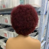 Perruque Bréslienne 13x4 Afro Crépue Bouclée Pixie Cut Lace Frontale Complète Tressée Bohème 99J Pré-Épilée Transparente pour Bébé