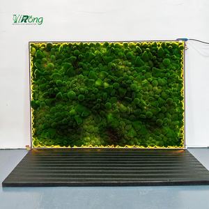 ผนัง<span class=keywords><strong>มอ</strong></span><span class=keywords><strong>ส</strong></span>เทียมตกแต่งบ้านในชีวิตประจำวัน - Product Image 2