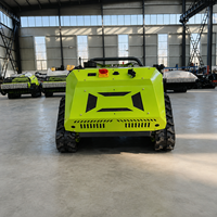 Tondeuse à fléaux professionnelle 800 mm RC intégrée, télécommandée, diesel, pour ferme, tout-terrain, coupe-herbe