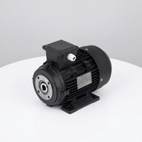 TITECHO Moteur électrique à courant alternatif triphasé à arbre creux YE2-132M-2 pour laveuse de voiture et machine de nettoyage