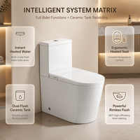 WC intelligent à poser au sol certifié CE, avec bidet intégré, sans bride, à chasse directe, siphon S/P, réservoir d'eau, pour projets, vente en gros directe usine