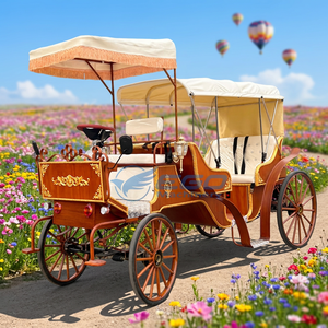 Calèche Électrique Princesse : Fabricants, Prix de Gros, Transport Touristique à Vendre - Product Image 3