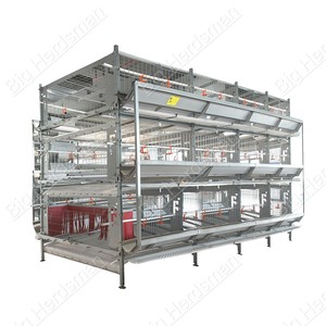 Gabbia a Strati Tipo H Zincata a Caldo Durevole per Allevamento Avicolo ad Alta Densità e Produzione di Uova - Product Image 2