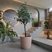 Ensemble de pots à fleurs en béton minimalistes, design circulaire, jardinières d'intérieur et d'extérieur pour plantes vertes et arbres