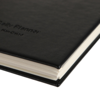 Carnet A5 à spirales, couverture rigide, personnalisable, fabricant, impression personnalisée du logo, agenda, utilisation promotionnelle