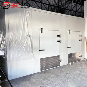 Puerta Abatible de Alta Calidad Completamente Empotrada para Cuarto Frío - Product Image 1