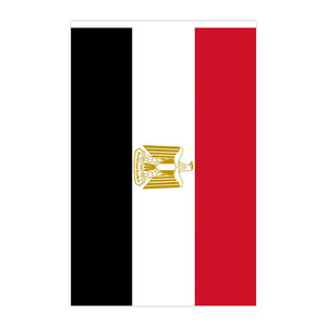 لافتة راية مصرية مستطيلة * * بوصة رايات من البوليستر المصري للبيع بالجملة لتزيين المناسبات الوطنية - Product Image 4